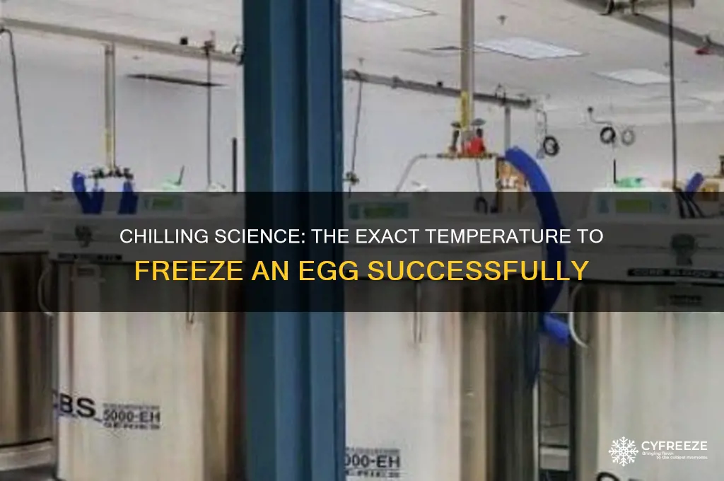 how cold to freeze an egg