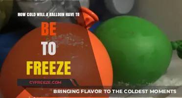 Chilling Heights: The Quest to Freeze a Balloon in Mid-Air