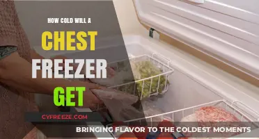 Chilling Insights: The Ultimate Guide to Chest Freezer Temperatures