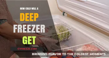 Chilling Insights: The Ultimate Guide to Deep Freezer Temperatures