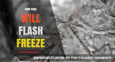 Instant Ice: Understanding the Science Behind Flash Freezing