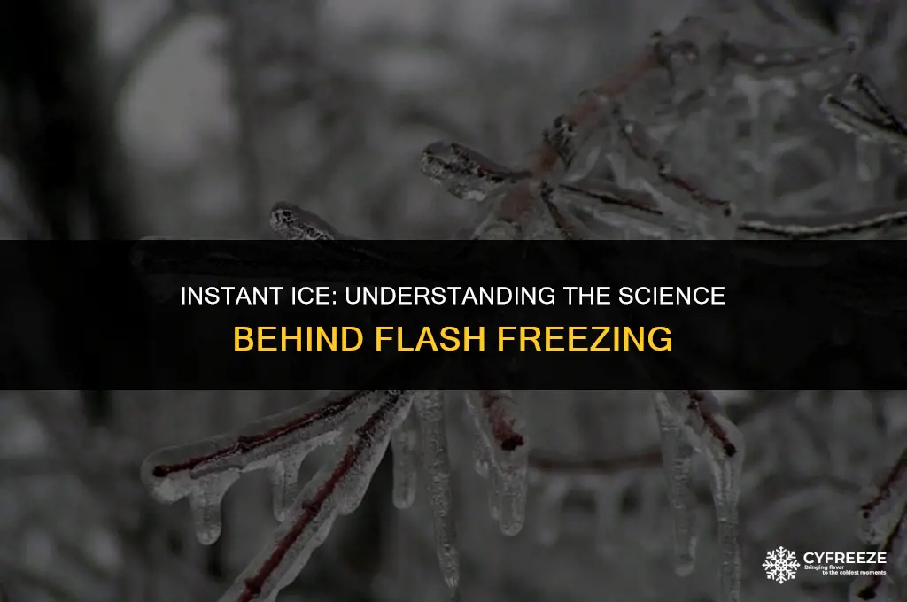 how cold will flash freeze