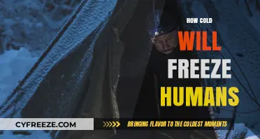 The Chilling Truth: Human Survival in Extreme Cold