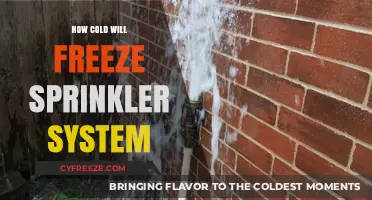 Winterizing Your Sprinkler System: A Guide to Preventing Freeze Damage