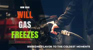 Chilling Insights: At What Temperature Does Gas Freeze?