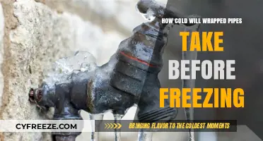 Preventing Pipe Freezes: A Guide to Safe Winter Plumbing
