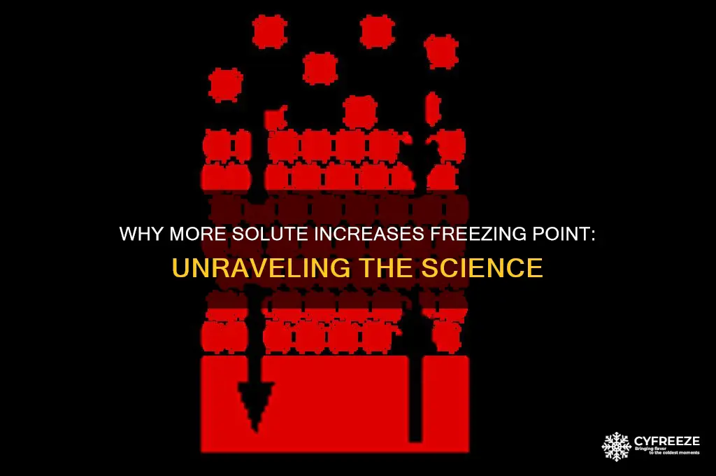 how come the more solute the higher the freezing point