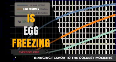 Egg Freezing Trends: How Common Is This Fertility Option Today?