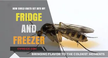 Pesky Gnats in Your Fridge and Freezer: Causes and Solutions