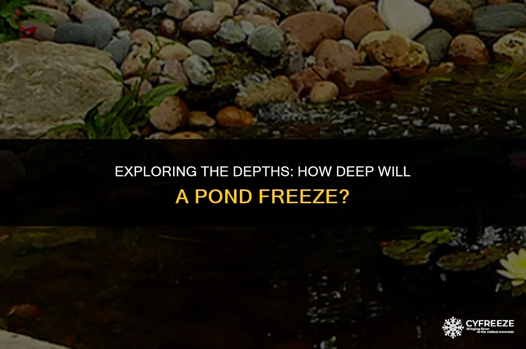 how deep will a pond freeze