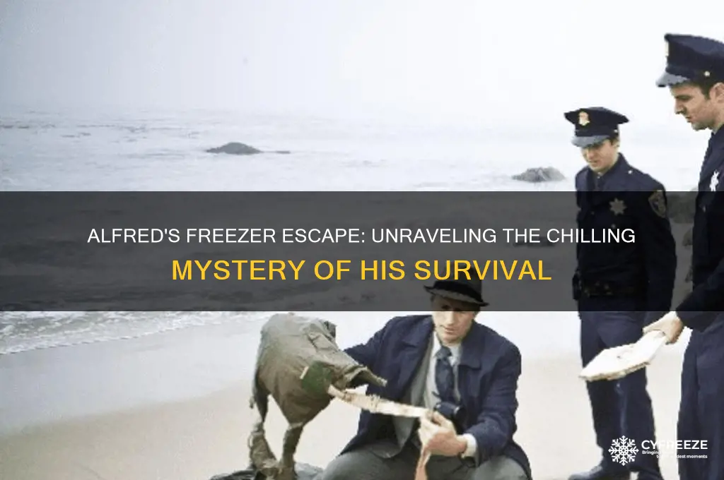 how did alfred get out of the freezer