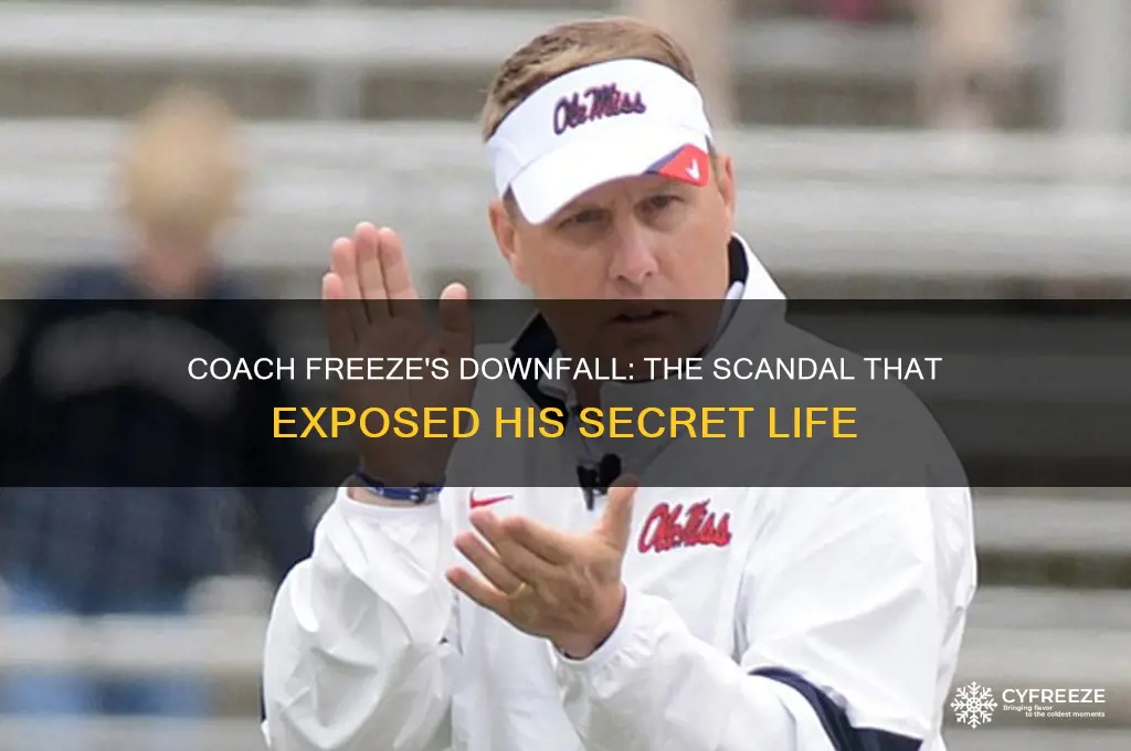 how did coach freeze get busted