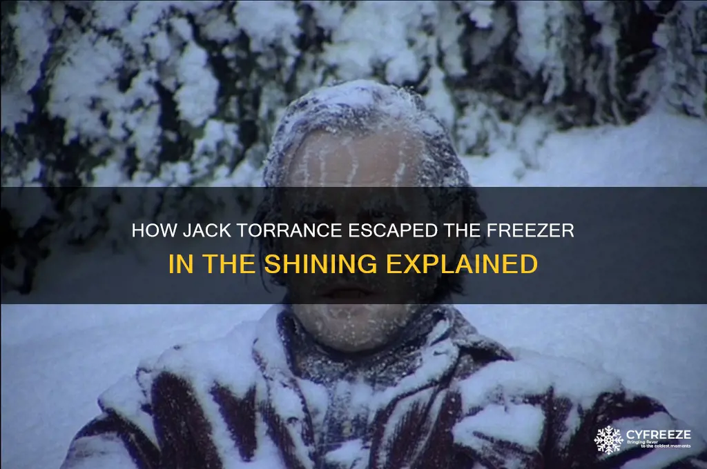 how did jafk torrnwce get out of freezer