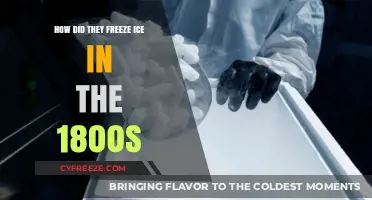 Chilling Innovations: The Ingenious Methods of Freezing Ice in the 1800s