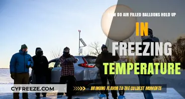Air-Filled Balloons in Freezing Temps: Survival or Bursting Myth?
