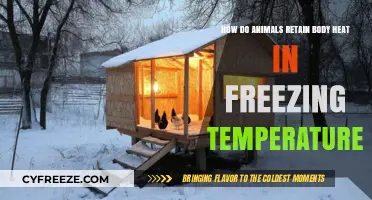 Surviving the Cold: How Animals Retain Body Heat in Freezing Temperatures