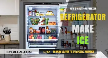 The Cool Science Behind Bottom Freezer Ice Makers