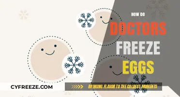 Egg Freezing Explained: The Doctor's Guide to Preserving Fertility