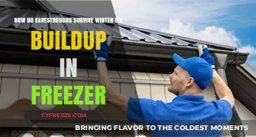 Winterizing Eavestroughs: Strategies to Prevent Ice Buildup and Damage
