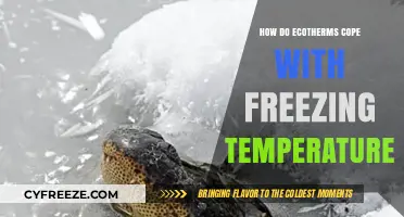 Surviving the Freeze: Ecotherm Strategies for Extreme Cold Resistance