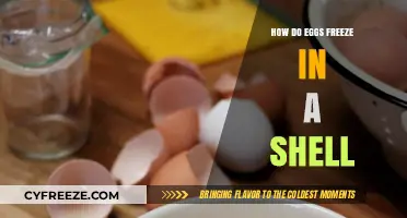Can Eggs Freeze in Their Shells? Surprising Facts and Tips