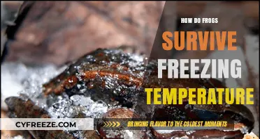 Frogs' Winter Survival: Unlocking Secrets of Freezing Tolerance in Amphibians