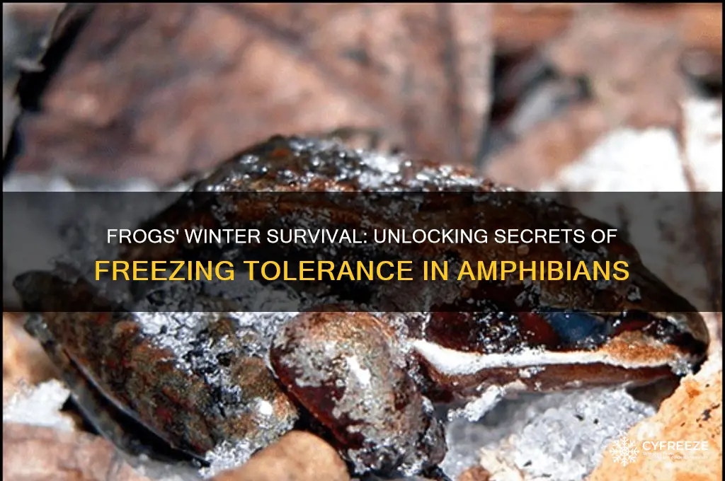 how do frogs survive freezing temperatures