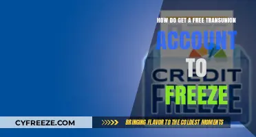 Secure Your Credit: Free TransUnion Account Freeze Guide