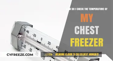 Easy Steps to Check Your Chest Freezer's Temperature Accurately