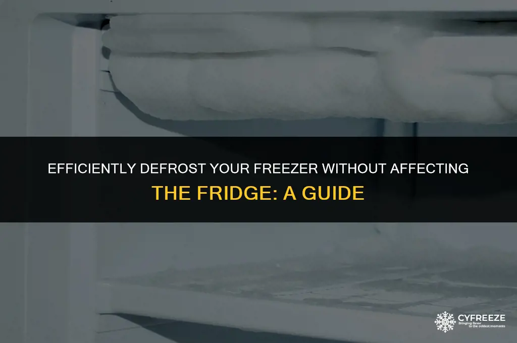 how do i defrost my freezer but not the fridge