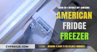 Efficiently Defrosting Your Samsung American Fridge Freezer: A Guide