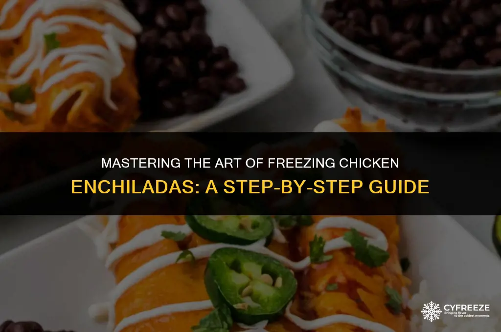 how do i freeze chicken enchiladas