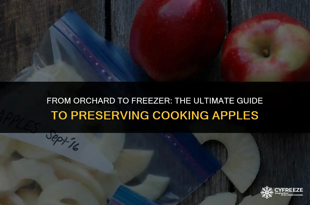 how do i freeze cooking apples