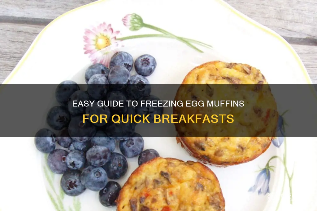 how do i freeze egg muffins