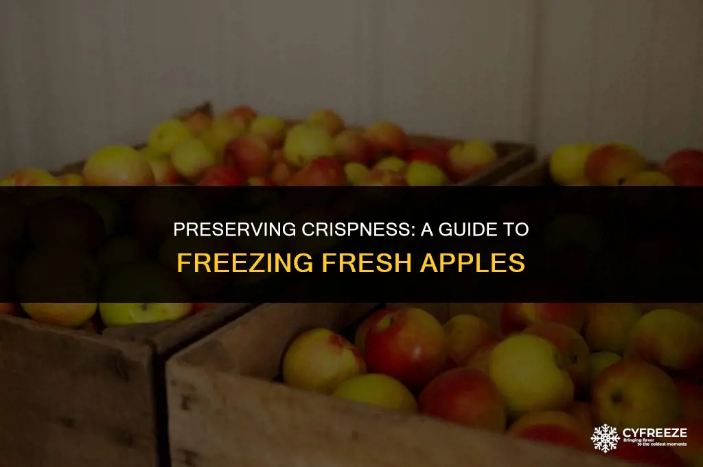 how do i freeze fresh apples
