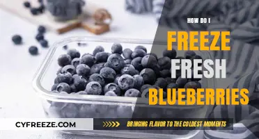 Preserve the Flavor: A Guide to Freezing Fresh Blueberries