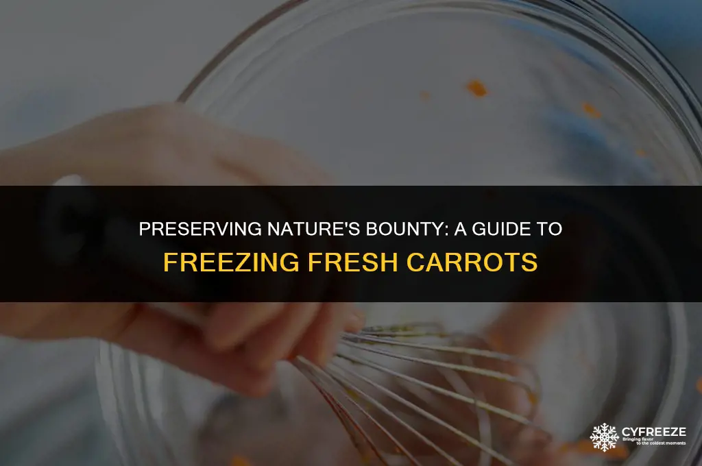 how do i freeze fresh carrots