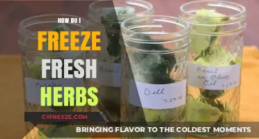 Preserve Freshness: A Guide to Freezing Herbs for Long-Term Use