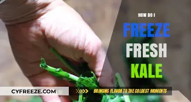 Preserve the Green: A Simple Guide to Freezing Fresh Kale