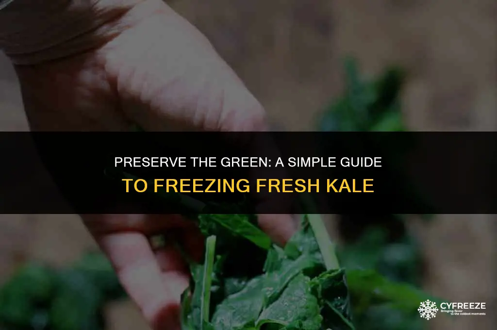 how do i freeze fresh kale
