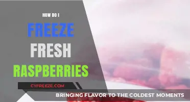 Preserve the Sweetness: A Guide to Freezing Fresh Raspberries