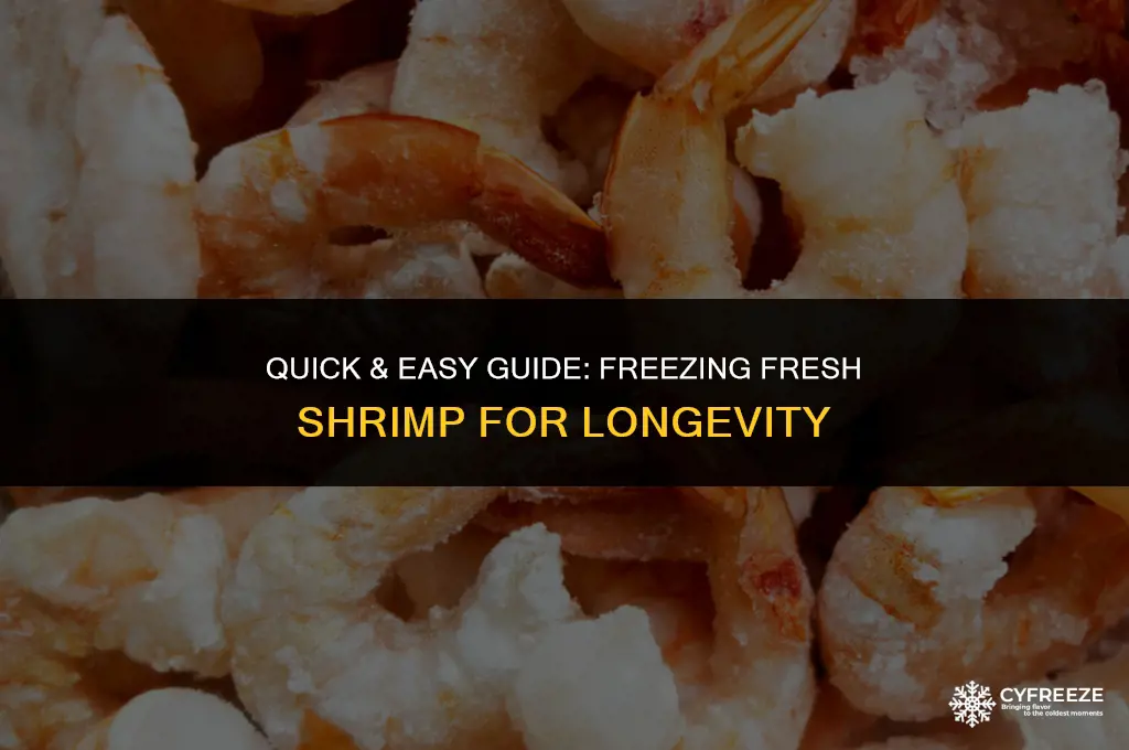 how do i freeze fresh shrimp