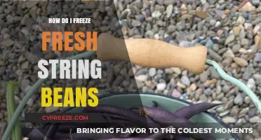 Preserve the Flavor: A Guide to Freezing Fresh String Beans