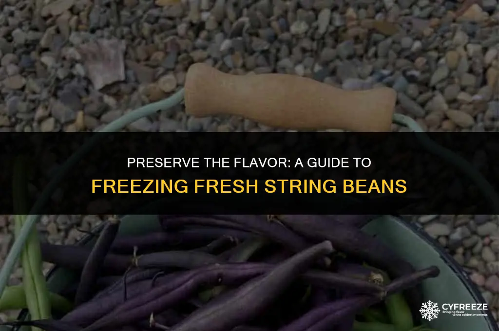 how do i freeze fresh string beans