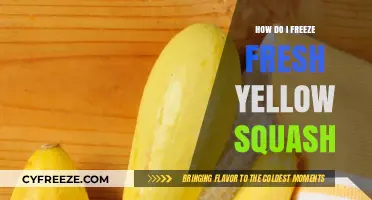 Preserving Summer's Bounty: A Guide to Freezing Fresh Yellow Squash