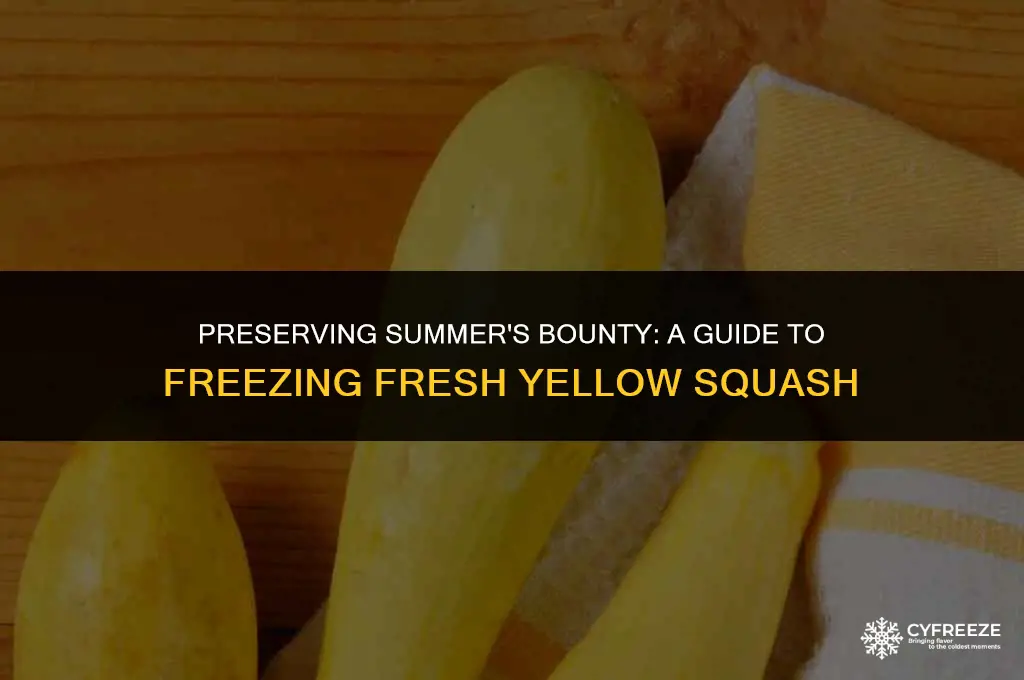 how do i freeze fresh yellow squash
