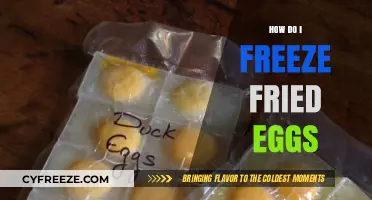 Mastering the Art of Freezing Fried Eggs for Quick Breakfasts