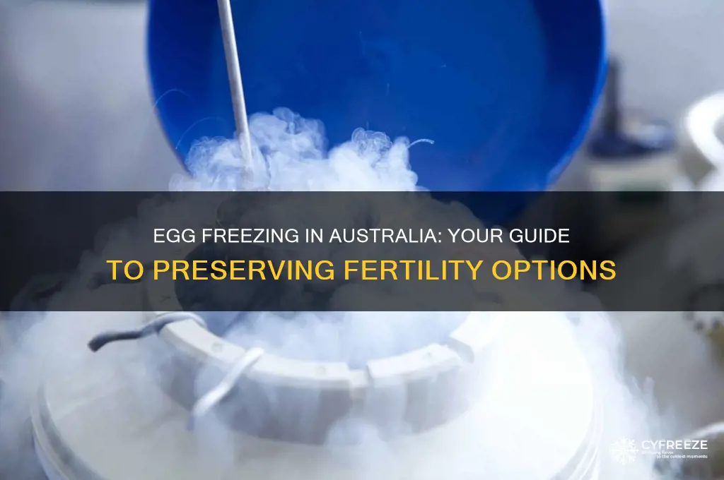 how do i freeze my eggs australia