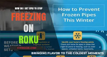Fix Epix Freezing on Roku: Quick Solutions for Smooth Streaming