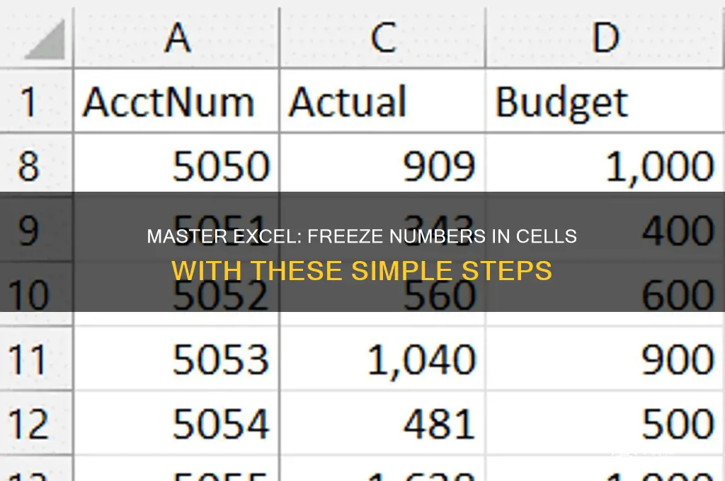 how do i get excel to freeze numbers